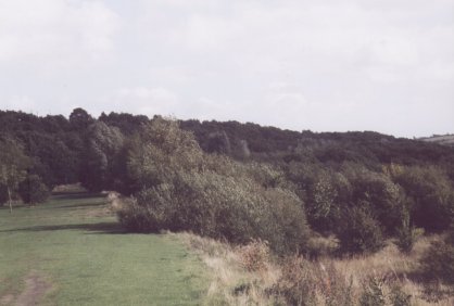 View of Cliffe Wood
